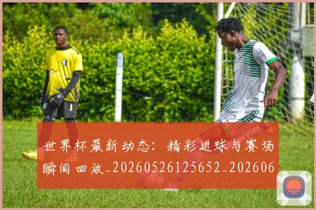 世界杯最新动态：精彩进球与赛场瞬间回放_20260526125652_20260607160543